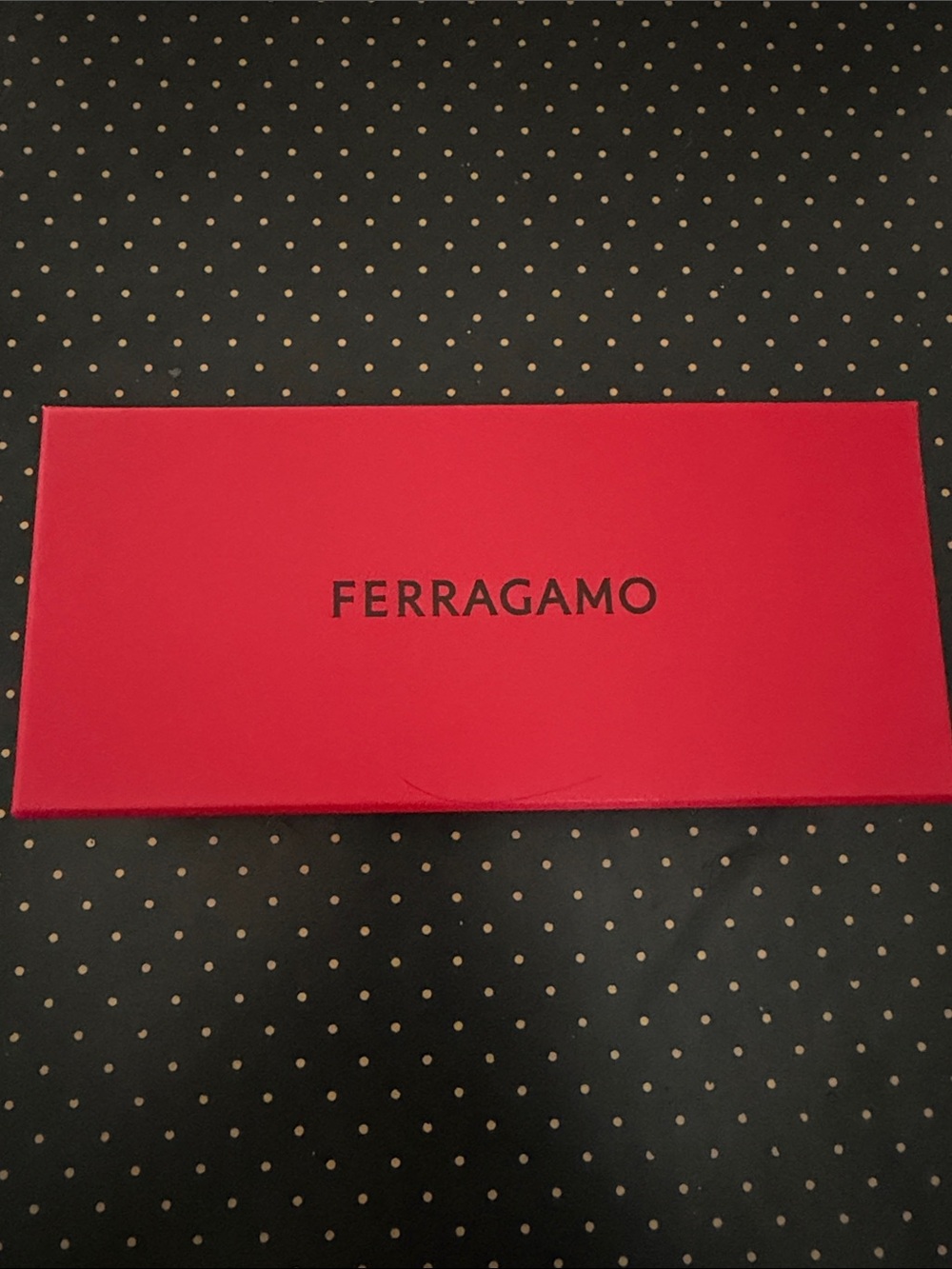 Salvatore Ferragamo Red Accessory Box